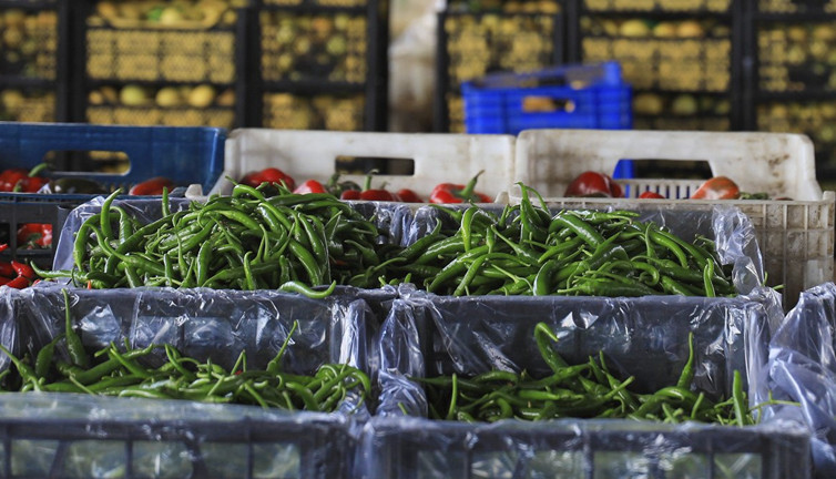 Antalya'da pazar fiyatları uçuşa geçti... Seraları soğuk vurdu!