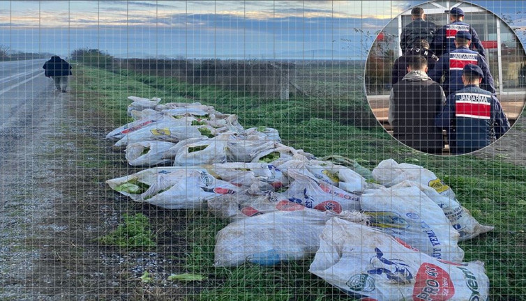 ‘Bu kadarına pes’ dedirten hırsızlık! Çuval çuval marul çalarken yakalandılar