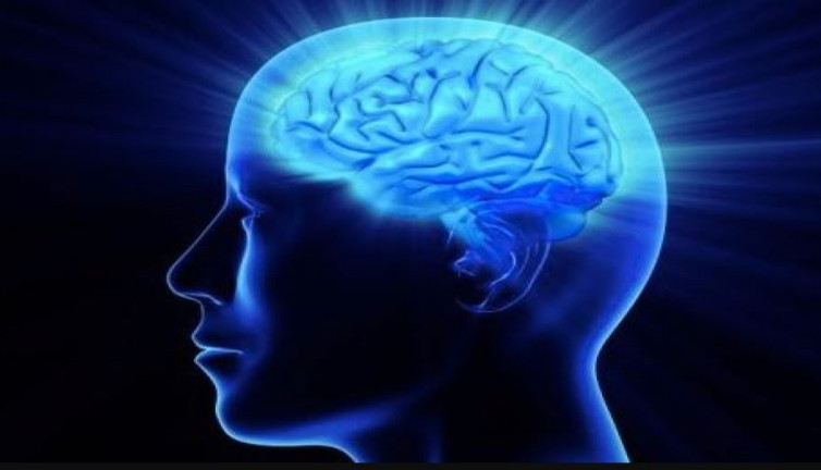 Dünyanın en yüksek IQ'suna sahip Kim, dedikodunun ruh sağlığına iyi geldiğini savundu