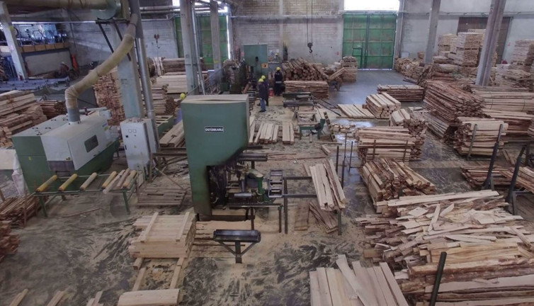 Türkiye kereste devi iflas etti. Çalışanlar işsiz kalacak. Kimse tahmin etmiyordu