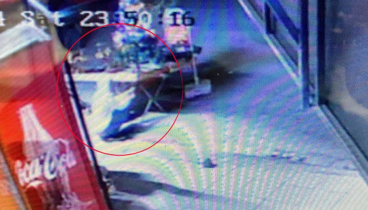 Yılbaşı arefesinde çam ağacını çaldılar