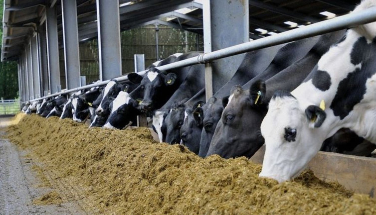 Türk süt imparatoru sektöre veda etti. 30 yıldır hizmet veriyordu