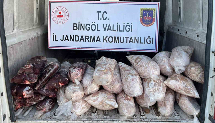 Bingöl’de ele geçirildi: İmha edilmek üzere el konuldu