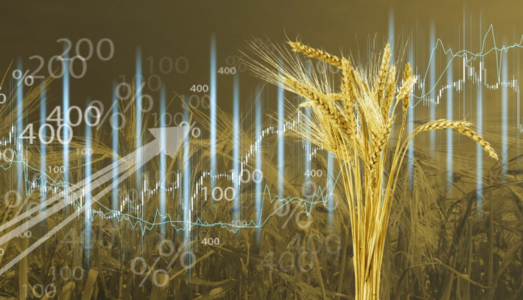 Gıda fiyatları endeksinde gerileme