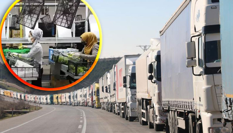 4 ürün daha gümrükten geri döndü