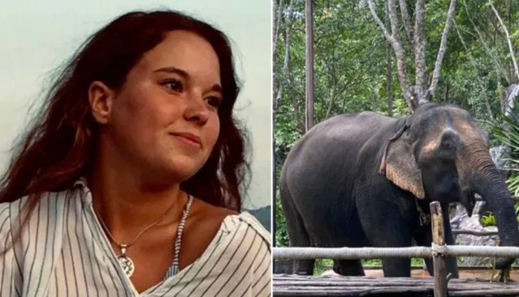 Filin saldırdığı turist hayatını kaybetti