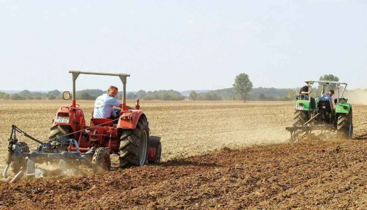 Türk tarım devi iflas etti. Dünyaya ihraç ediyordu