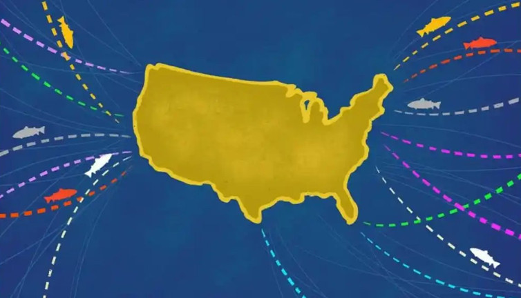 ABD mal ve hizmet ithalatında büyük artış