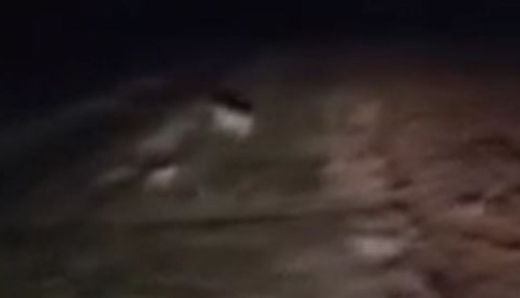 Çiftçi tarlasında göz göze geldi. Cesur adam kaçmadı