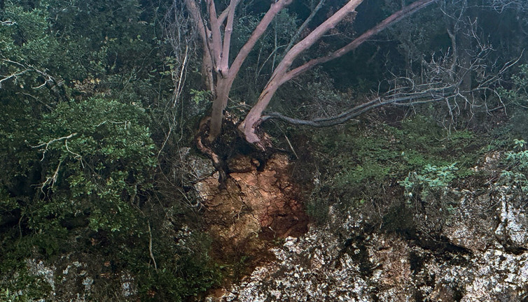 Zeus Mağarası geçici olarak ziyarete kapatıldı