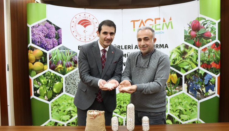 Erzincan’da yeni kuru fasulye çeşitleri tescil başvurusu