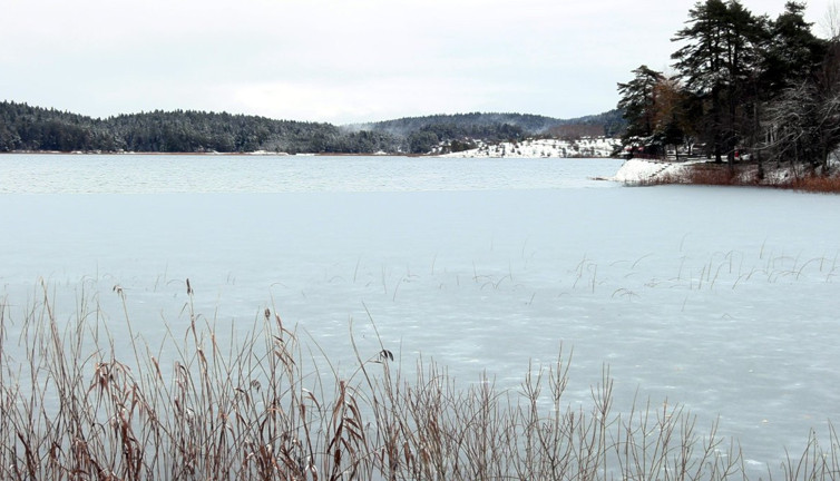 Abant'ta karın tadı doyasıya çıktı