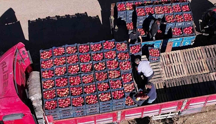 Bir pestisit vakası daha! Almanya Türk narlarını toplatma kararı aldı