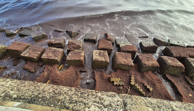 Tekirdağ'ı istila ettiler. Koku saçıyorlar