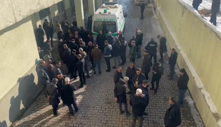 12 yaşındaki kız hayatını kaybetti. Sokak köpekleri saldırmıştı. Yüksekova'da dehşet