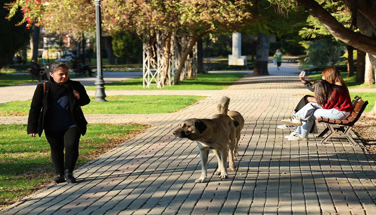 Adana’da termometreler 30 derece