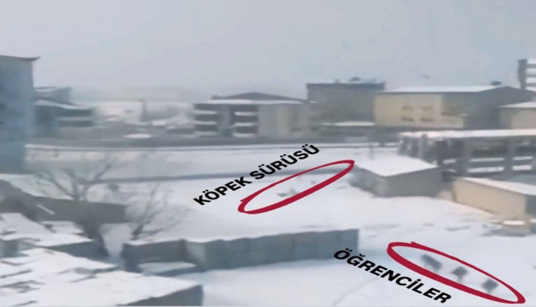 Sokak köpeklerin öğrencilere saldırı anı böyle görüntülendi