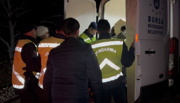 Ormandaki vahşetin gizemi çözüldü