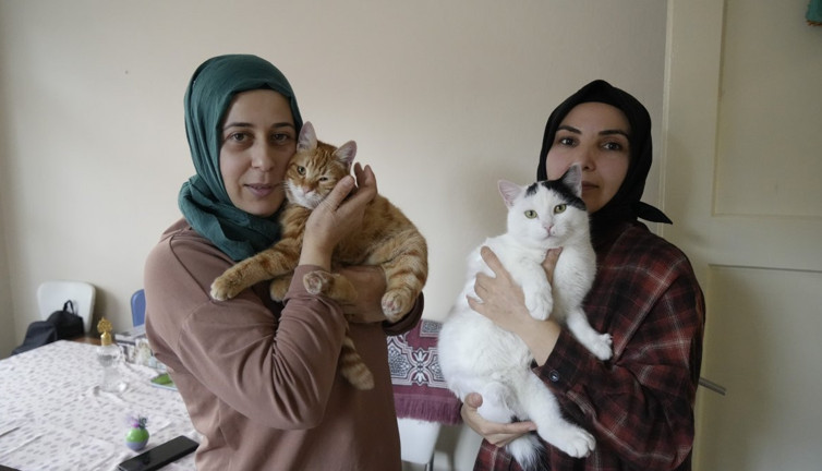 Gümüşhane’de engelli kedilere şefkat eli