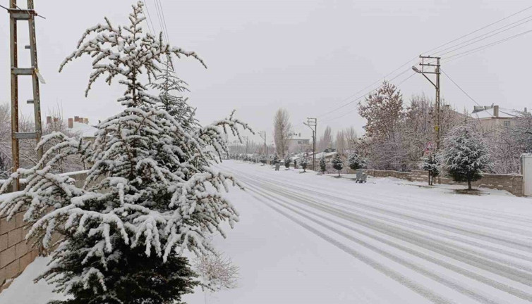 Muradiye’de kar yağışı: Sabah dondurucu soğuklar