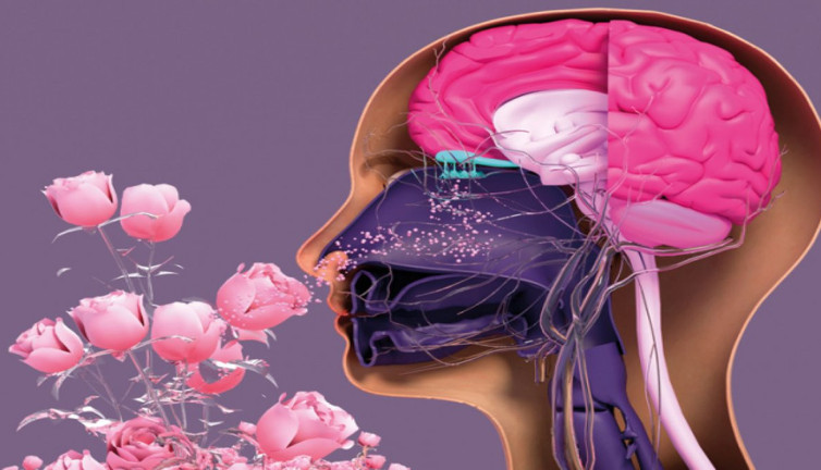 Yapay zeka koku duyusuyla hastalıkları kokluyor: Tıpta yeni bir dönem başlıyor!
