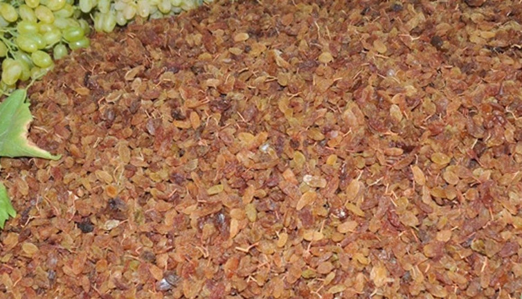 Fransa, tonlarcasını Türkiye'ye geri gönderiyor! Böcek ve mantar ilacı bulundu