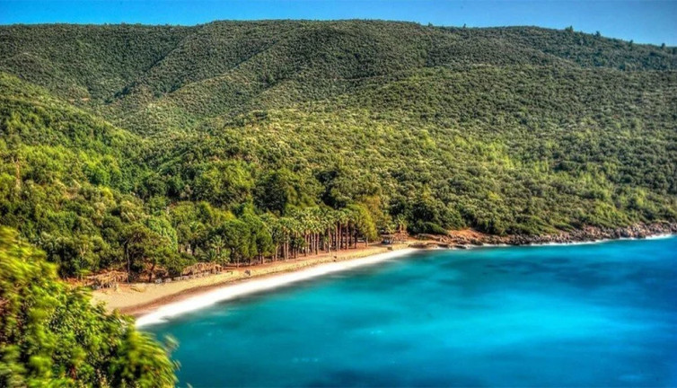 Bu yaz kimse parmağını bile denize sokamayacak. Akdeniz sahilimizde büyük tehlike. Muğla bu olayı konuşuyor