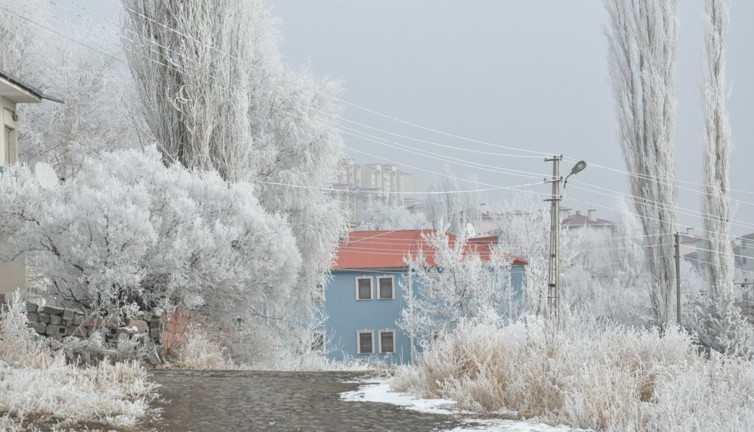 Kars’ta kırağı manzarası görsel şölen sundu