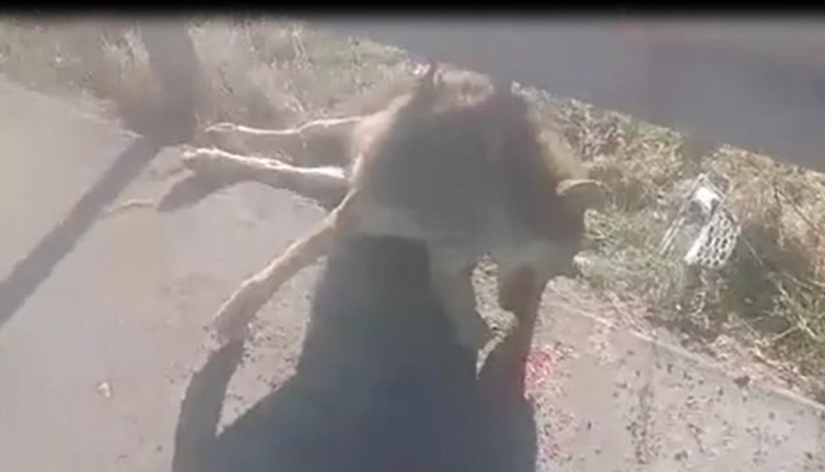 Elleriniz kırılsın