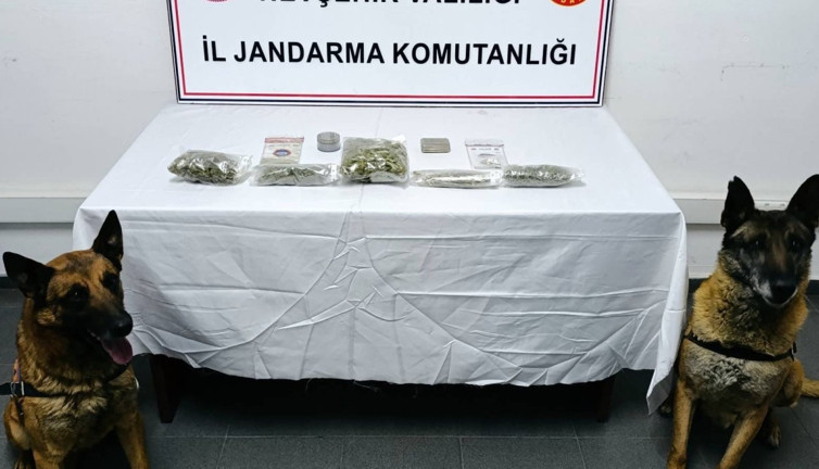 Narkotik köpeği iş başında