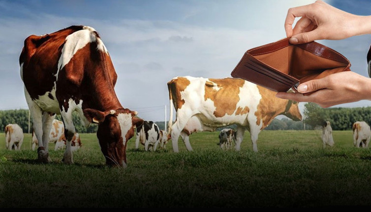 Devlet bu kez çiftçinin cebine göz dikti! Artık o da ücretli olacak