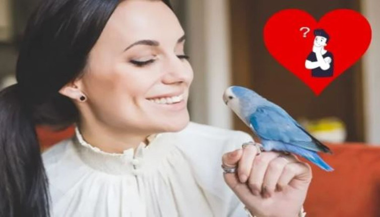 Gençliğin sırrı kuşlarda mı? İşin uzmanları anlatıyor