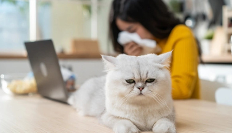 Evcil hayvan alerjisi endişelendiriyor