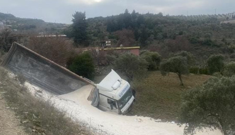 Çakıl yüklü kamyon zeytin bahçesine uçtu