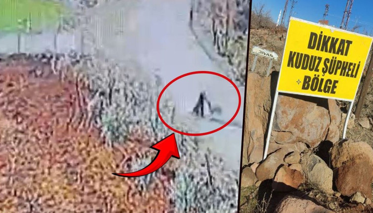 Siverek’te kuduz alarmı: 3 kişiyi köpek ısırdı, mahalle karantiya alındı