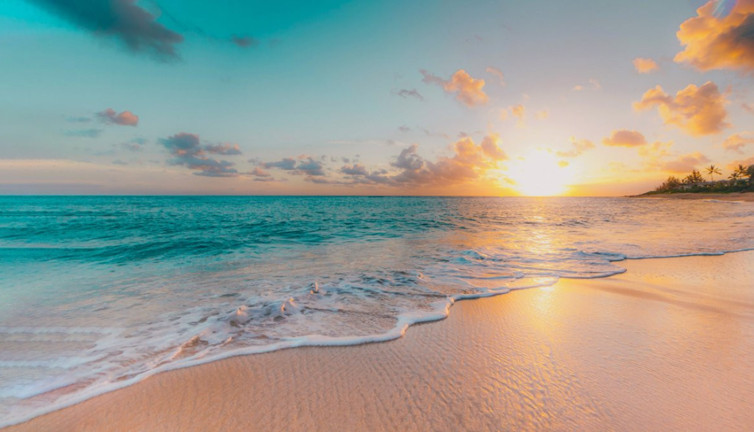 420 milyon yıldır yaşıyorlar! İlk canlılardan! Hayatta olmalarının sırları