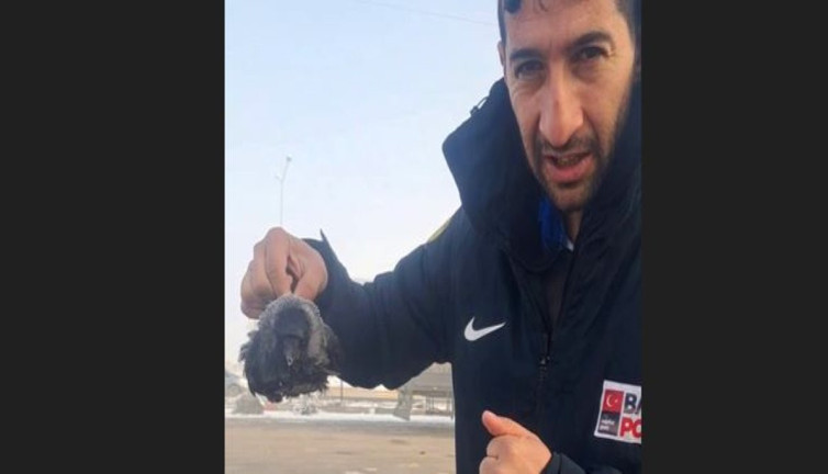 Karga soğuktan dondu