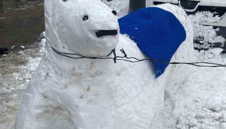 Hakkari gülümseten görüntüler... Bu sefer kardan adam yapılmadı