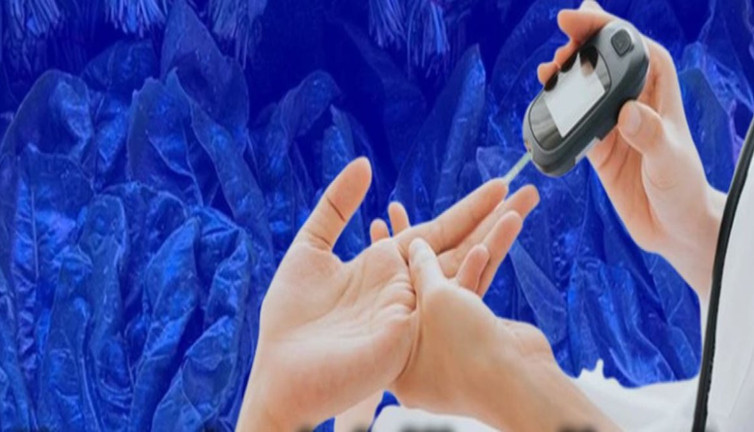 Kan şekerini düzenliyor! Kilo kontrolü sağlıyor! Mucize otun faydaları saymakla bitmiyor