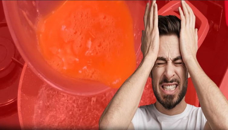 Unutkanlık hastalıklarına karşı kalkan oluyor! Günde bir tane yemek yetiyor