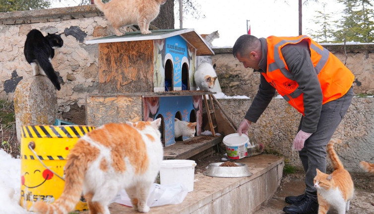 Sessiz canlara umut oldular!