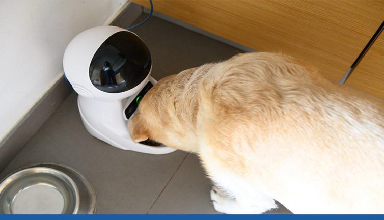 Geleceğin evcil hayvan bakımı: Akıllı ev sistemlerinin gücü