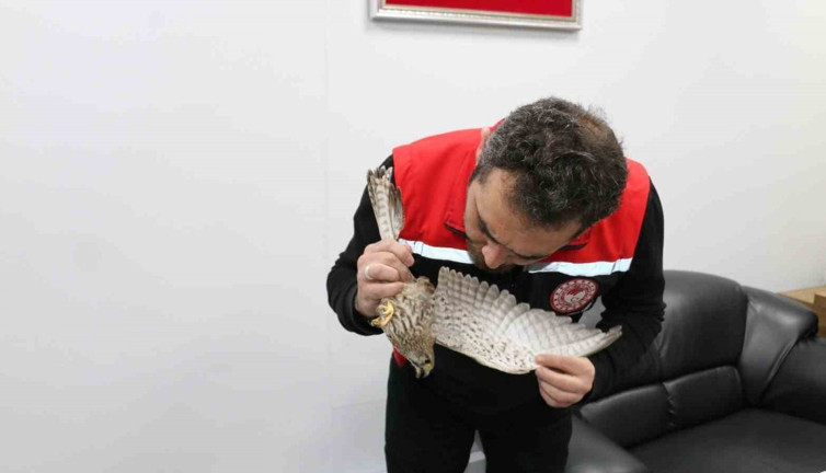 Erzincan’da ekipler seferber oldu