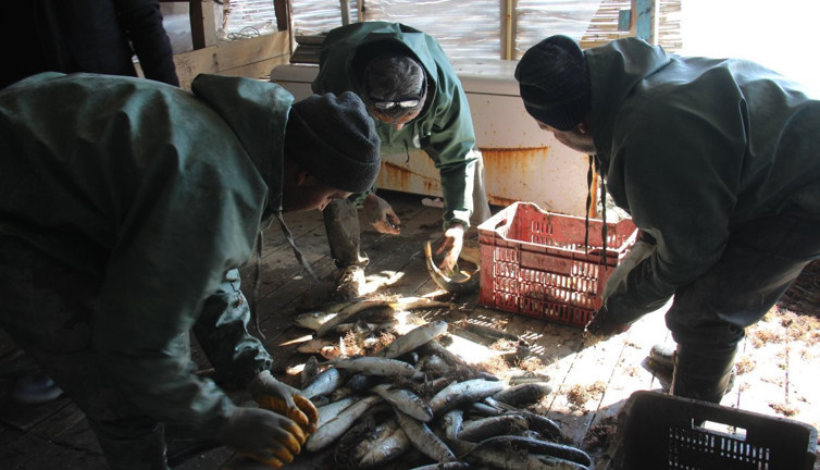 Balık yerine çöp avladılar!