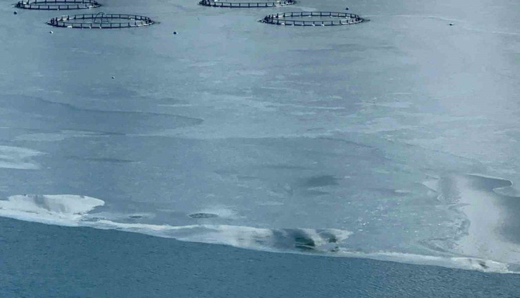 Görüntüler kartpostalları aratmadı! Yüzen adaların yer aldığı baraj buz tuttu