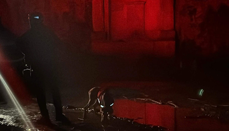 Kayıp mimar Ece'den 2 gündür haber yok! Son paylaşım yaptığı yer ortaya çıktı; Belgrad Ormanı didik didik aranıyor