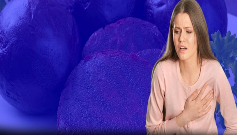 Tansiyonu düşürüyor, karaciğeri yeniliyor! Kalpten birçok hastalığa iyi gelen doğanın mucizesi