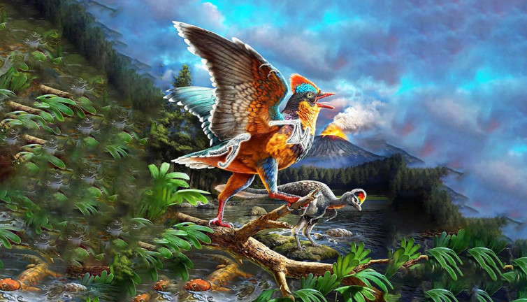 En eski kuşlardan biri ortaya çıktı!