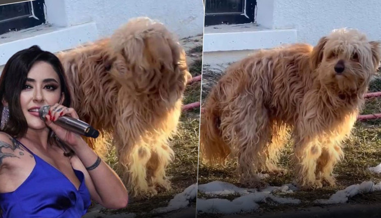 Melek Mosso'dan yürekleri ısıtan davranış! Buz gibi havada sokağa atılan Toprak'a kucak açtı
