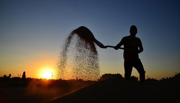 Tarım işçilerinin günlük ücreti arttı